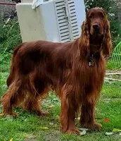 processed/37562a30-0cf0-4cb3-b1bd-c33d5ed3ea4a/listing/b75c8639-e266-4895-acb0-15d534280539/6d8f2989-c3ab-4fe9-9f76-6617d74b9a72