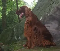 processed/37562a30-0cf0-4cb3-b1bd-c33d5ed3ea4a/listing/b75c8639-e266-4895-acb0-15d534280539/f747a6fd-331b-4bbc-8efd-12a60b3180a6