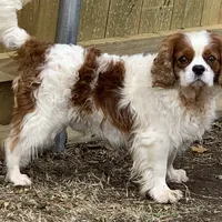 processed/375c28c1-0d6f-4f9c-9ff9-73a358e7af88/facility/378e7324-a886-4bf4-895f-faa9ebf4698d