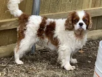 processed/375c28c1-0d6f-4f9c-9ff9-73a358e7af88/facility/378e7324-a886-4bf4-895f-faa9ebf4698d