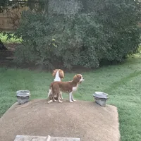 processed/375c28c1-0d6f-4f9c-9ff9-73a358e7af88/facility/3fa51083-ddf1-428d-985d-4142cd4d7947