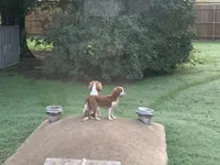 processed/375c28c1-0d6f-4f9c-9ff9-73a358e7af88/facility/3fa51083-ddf1-428d-985d-4142cd4d7947