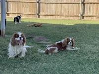 processed/375c28c1-0d6f-4f9c-9ff9-73a358e7af88/facility/46465b11-cd68-4533-bf26-ff0c259477e7