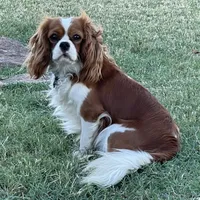 processed/375c28c1-0d6f-4f9c-9ff9-73a358e7af88/facility/5d549397-3cd4-49c6-a07c-d1f35a4c223a