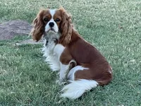 processed/375c28c1-0d6f-4f9c-9ff9-73a358e7af88/facility/5d549397-3cd4-49c6-a07c-d1f35a4c223a