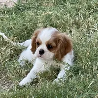 processed/375c28c1-0d6f-4f9c-9ff9-73a358e7af88/facility/7eaedea3-201b-4918-b89e-8fd6600fda41