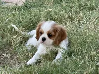 processed/375c28c1-0d6f-4f9c-9ff9-73a358e7af88/facility/7eaedea3-201b-4918-b89e-8fd6600fda41