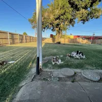 processed/375c28c1-0d6f-4f9c-9ff9-73a358e7af88/facility/e8ed0a60-8170-4bf6-803c-ac0a3c5acd2e