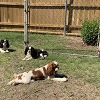 processed/375c28c1-0d6f-4f9c-9ff9-73a358e7af88/facility/f7b67bf8-d001-430d-9845-02c0c139ebd7