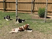 processed/375c28c1-0d6f-4f9c-9ff9-73a358e7af88/facility/f7b67bf8-d001-430d-9845-02c0c139ebd7