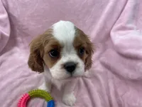 processed/375c28c1-0d6f-4f9c-9ff9-73a358e7af88/listing/34623fe8-94a3-41b6-aa29-089d5db793bf/2eac9e9b-455f-47d3-941c-a33e4b9d3a22