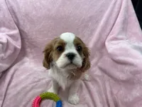 processed/375c28c1-0d6f-4f9c-9ff9-73a358e7af88/listing/34623fe8-94a3-41b6-aa29-089d5db793bf/a405f718-08b0-47aa-b30e-d1dff3a647e0