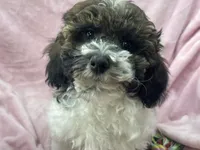 processed/375c28c1-0d6f-4f9c-9ff9-73a358e7af88/listing/4cbec1fd-66b5-4332-a938-245e22b88450/0866b9d8-6ba0-4e9f-ad2c-f5c00fd2fcb2