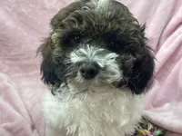 processed/375c28c1-0d6f-4f9c-9ff9-73a358e7af88/listing/4cbec1fd-66b5-4332-a938-245e22b88450/33490f8a-0496-481c-b082-3eafe26b3196