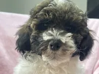 processed/375c28c1-0d6f-4f9c-9ff9-73a358e7af88/listing/4cbec1fd-66b5-4332-a938-245e22b88450/36a76bb0-223d-4451-baef-43186932863d