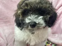 processed/375c28c1-0d6f-4f9c-9ff9-73a358e7af88/listing/4cbec1fd-66b5-4332-a938-245e22b88450/4df66fe4-dbf5-49ac-822a-4b969bea2e09