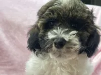 processed/375c28c1-0d6f-4f9c-9ff9-73a358e7af88/listing/4cbec1fd-66b5-4332-a938-245e22b88450/59fe13e3-ead0-49d0-90a3-079328bd9de7