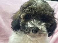 processed/375c28c1-0d6f-4f9c-9ff9-73a358e7af88/listing/4cbec1fd-66b5-4332-a938-245e22b88450/73f8c0b9-3cc8-478a-b8da-2f6c50a429c5