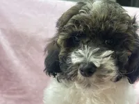 processed/375c28c1-0d6f-4f9c-9ff9-73a358e7af88/listing/4cbec1fd-66b5-4332-a938-245e22b88450/7a6545be-9092-42b6-8218-080b33e5b895