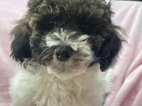 processed/375c28c1-0d6f-4f9c-9ff9-73a358e7af88/listing/4cbec1fd-66b5-4332-a938-245e22b88450/8c5d234c-f8eb-43e4-b780-3aaaf8c6ab53