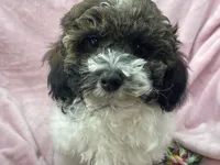 processed/375c28c1-0d6f-4f9c-9ff9-73a358e7af88/listing/4cbec1fd-66b5-4332-a938-245e22b88450/e9d58d07-b789-4b0a-b180-6c83f2eb1434