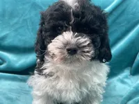 processed/375c28c1-0d6f-4f9c-9ff9-73a358e7af88/listing/5609c358-d9cc-4f2d-81f1-398397074f8d/7bedec9f-37b7-41d6-ab30-e1f0b7079399