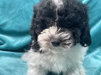 processed/375c28c1-0d6f-4f9c-9ff9-73a358e7af88/listing/5609c358-d9cc-4f2d-81f1-398397074f8d/82d21610-1796-4cca-a5e1-23a6748eb450