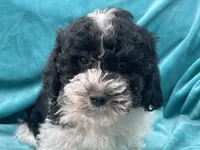 processed/375c28c1-0d6f-4f9c-9ff9-73a358e7af88/listing/5609c358-d9cc-4f2d-81f1-398397074f8d/ab1b3264-e5fc-4b9c-a0a2-cf15813bb8a5