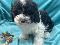 processed/375c28c1-0d6f-4f9c-9ff9-73a358e7af88/listing/5609c358-d9cc-4f2d-81f1-398397074f8d/b5457e23-5374-40ed-8564-40098104ce73