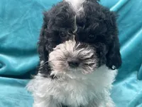 processed/375c28c1-0d6f-4f9c-9ff9-73a358e7af88/listing/5609c358-d9cc-4f2d-81f1-398397074f8d/bc4bf42a-c8ee-46f8-85da-6ef27632d42d