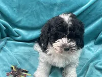 processed/375c28c1-0d6f-4f9c-9ff9-73a358e7af88/listing/5609c358-d9cc-4f2d-81f1-398397074f8d/edef748a-38b5-4cef-8053-f6908cafe54e