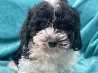 processed/375c28c1-0d6f-4f9c-9ff9-73a358e7af88/listing/5609c358-d9cc-4f2d-81f1-398397074f8d/fe07c63b-c52e-4cd7-ae07-6dd3904b2fdd