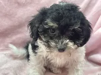 processed/375c28c1-0d6f-4f9c-9ff9-73a358e7af88/listing/832ce8b0-8cb2-4ebd-a4cd-5a2a4e20ac84/09e8728a-14e4-4854-a7d3-f3333eac0f37