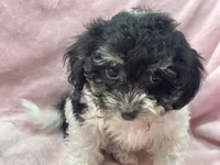 processed/375c28c1-0d6f-4f9c-9ff9-73a358e7af88/listing/832ce8b0-8cb2-4ebd-a4cd-5a2a4e20ac84/154d30e5-001f-41b1-9a2a-2d797cd2ca77