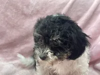 processed/375c28c1-0d6f-4f9c-9ff9-73a358e7af88/listing/832ce8b0-8cb2-4ebd-a4cd-5a2a4e20ac84/25a9a8f4-316d-43b4-8376-e045e1a0abb1