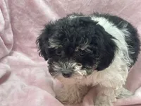 processed/375c28c1-0d6f-4f9c-9ff9-73a358e7af88/listing/832ce8b0-8cb2-4ebd-a4cd-5a2a4e20ac84/a740e77e-05ca-408e-8196-8bcdd9d143a0