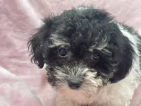 processed/375c28c1-0d6f-4f9c-9ff9-73a358e7af88/listing/832ce8b0-8cb2-4ebd-a4cd-5a2a4e20ac84/a7530961-ac07-4e48-8443-8fa1122a026f