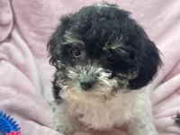 processed/375c28c1-0d6f-4f9c-9ff9-73a358e7af88/listing/832ce8b0-8cb2-4ebd-a4cd-5a2a4e20ac84/aa8d84be-3616-4305-96ae-771c977eec50