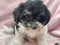 processed/375c28c1-0d6f-4f9c-9ff9-73a358e7af88/listing/832ce8b0-8cb2-4ebd-a4cd-5a2a4e20ac84/b8a96355-3ef0-4219-afc9-4b59ea6ed196