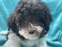 processed/375c28c1-0d6f-4f9c-9ff9-73a358e7af88/listing/88cb9f77-ad1e-4e30-ad59-7076d6121ffc/2d2656fe-b396-4ef2-b182-dcbf1513dfb8