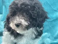 processed/375c28c1-0d6f-4f9c-9ff9-73a358e7af88/listing/88cb9f77-ad1e-4e30-ad59-7076d6121ffc/41df182a-ccb3-459a-805f-37419cbdfa4c