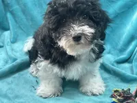 processed/375c28c1-0d6f-4f9c-9ff9-73a358e7af88/listing/88cb9f77-ad1e-4e30-ad59-7076d6121ffc/4650e3fa-6132-43cb-b436-cfdbc2b48434