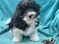 processed/375c28c1-0d6f-4f9c-9ff9-73a358e7af88/listing/88cb9f77-ad1e-4e30-ad59-7076d6121ffc/571be727-f524-4934-9814-142a08e63658