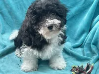 processed/375c28c1-0d6f-4f9c-9ff9-73a358e7af88/listing/88cb9f77-ad1e-4e30-ad59-7076d6121ffc/7ae7cca7-cc57-42b7-bb66-dcc180c2cabd