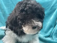 processed/375c28c1-0d6f-4f9c-9ff9-73a358e7af88/listing/88cb9f77-ad1e-4e30-ad59-7076d6121ffc/82efbf51-b52a-4c35-8e3c-77d27079d1cc