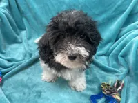 processed/375c28c1-0d6f-4f9c-9ff9-73a358e7af88/listing/88cb9f77-ad1e-4e30-ad59-7076d6121ffc/e3fa374b-1a41-4904-b0fa-66deb5d99ec2