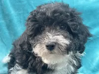 processed/375c28c1-0d6f-4f9c-9ff9-73a358e7af88/listing/88cb9f77-ad1e-4e30-ad59-7076d6121ffc/eba4c04f-0481-44e2-94b9-dcf738ca6b3f