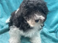 processed/375c28c1-0d6f-4f9c-9ff9-73a358e7af88/listing/88cb9f77-ad1e-4e30-ad59-7076d6121ffc/f50b50d5-c5c3-4702-aa59-12cb9d841641