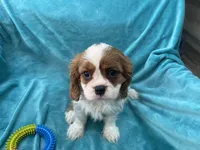 processed/375c28c1-0d6f-4f9c-9ff9-73a358e7af88/listing/a887844b-06d9-4b38-9a15-5b777d40e4e1/28d847b4-2c12-4ce1-b54f-1519bd22041f