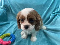 processed/375c28c1-0d6f-4f9c-9ff9-73a358e7af88/listing/a887844b-06d9-4b38-9a15-5b777d40e4e1/52a6a144-35ad-4bdb-95e6-05631e6f3082